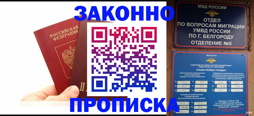 временная регистрация для школы в Кингисеппе